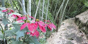 Jardín Botánico Marsella  